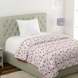 KLOTTHE Multicoloured Floral Printed Mild Winter 233 GSM Cotton Single Bed Dohar-picture-35