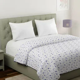 KLOTTHE White & Blue Floral Mild Winter 210 GSM Double Bed Dohar-image-4
