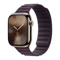 Apple Link Polyester & FineWoven Magnetic Strap for Apple (38mm / 40mm / 41mm / 42mm, M / L) (Security & Comfort, Blackberry) image 2