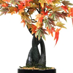 fourwalls Fabric Multicolour Japanese Maple In A Ceramic Pot Artificial Plants image 4