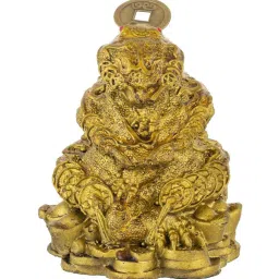 wens Triple Frog Family With Coin For Happiness, Health, Wealth and Positive Environment image 5