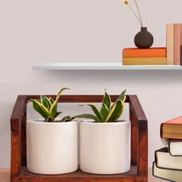 soulspiti Swing Desk Planter Wooden image 1