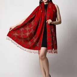 SWI Stylish Tasselled Woven Design Stole image 4