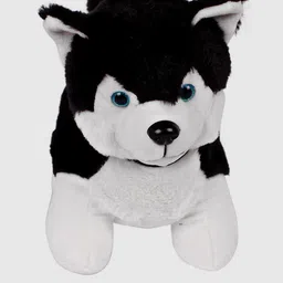 DukieKooky Kids Teddy Soft Toy image 4