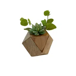 posh n plush Small Hexagon Wooden Vase With Artificial Succulent Plant image 3