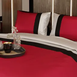 Stoa Paris Red & Beige AC Room 150 GSM Double Bed 1 Comforter With 2 Pillow covers 300TC image 5
