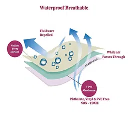 sassoon fab Laika (78X42) Terry Cotton Queen Size Mattress Protector in Maroon Colour image 4