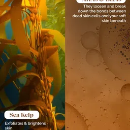 LuxaDerme Peeling & Exfoliating Foot Mask with Sea Kelp & Thyme- 40ml image 5