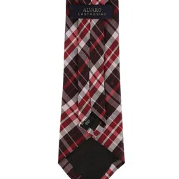 Alvaro Castagnino Men Red & White Checked Skinny Tie image 3
