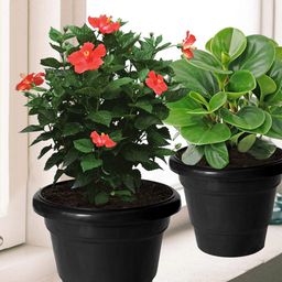 Kuber Industries Pack of 10 Black Solid Layered Plastic Planters With Drainage Hole-picture-47