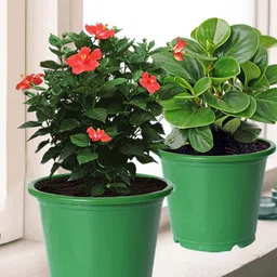 Kuber Industries Pack Of 5 Green Plastic Garden Flower Pots-picture-17