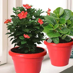 Kuber Industries Pack of 8 Red Solid Layered Plastic Planters With Drainage Hole image 1
