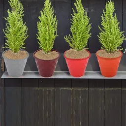 Kuber Industries Orange 4 Pcs Plastic Brick Flower Pots image 2