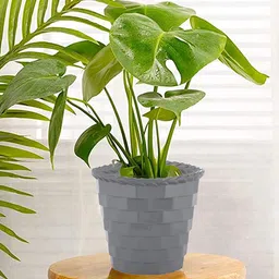 Kuber Industries Grey & Brown 2 Pcs Brick Flower Planters image 5