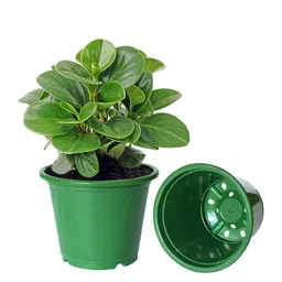 Kuber Industries Pack of 4 Green Solid Plastic Planters With Drainage Hole image 3