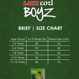 Lux Cozi Kids Pack Of 4 Assorted Printed Cotton Anti Oudour Basic Briefs image 5