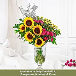 Sunflower Splendor-image-18
