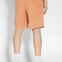 AMERICAN EAGLE OUTFITTERS Men Mid-Rise Regular Shorts image 3