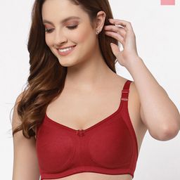 Floret Pack Of 2 Maroon & Rose Bra-picture-40