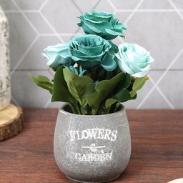 TIED RIBBONS Teal Green Rose Rose Artificial Flowers and Plants With Pot-picture-33
