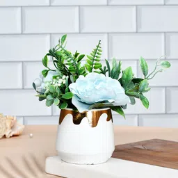TAYHAA White & Blue Rose Plant With Ceramic Pot-picture-46