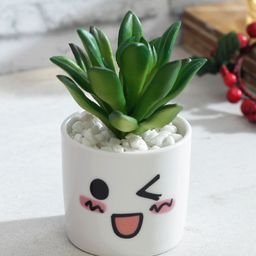 TAYHAA Green & White Artificial Bonsai Plant With Ceramic Pot-picture-47