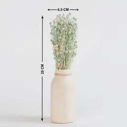 Home Centre Corsica Eden Tishi Artificial Flower with Ceramic Pot image 4