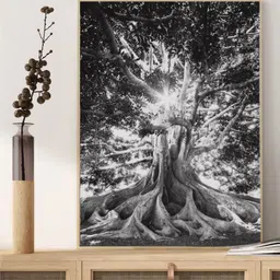 INDIAN CLASSIC ART Black & White Forest Farmhouse Wall Art-image-31