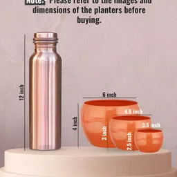 Homspurts Orange 3 Pieces Table Top Planters image 3