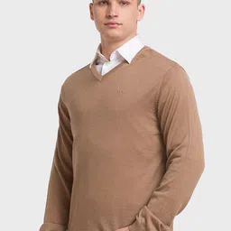 ColorPlus Men Wool Pullover image 2
