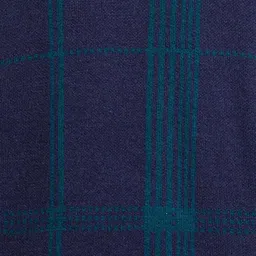 ColorPlus Men Navy Blue Checked Pullover image 3
