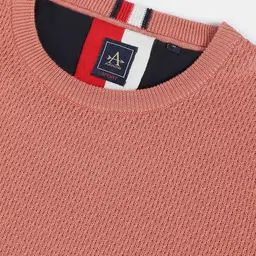 Arrow Sport Men Pink Solid Pullover image 4