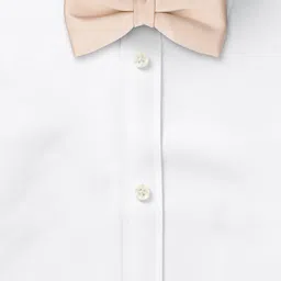 The Tie Hub Men Cream Solid Silk Bow Tie image 5