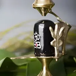 Navyaksh Gold-Toned Brass Siva Showpiece-image-57