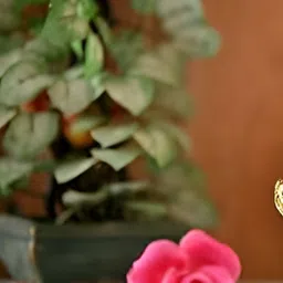 Navyaksh Gold Toned Religious Showpiece image 4