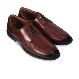 Ajanta Men Brown Solid Formal Slip-Ons-picture-32