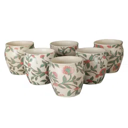 miah decor Marc 170ml Cream (Set of 6) Ceramic Tea Khullad image 2