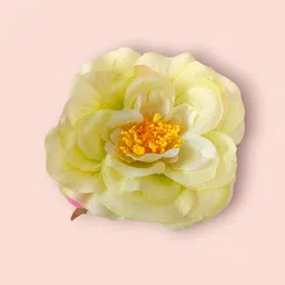 Hair Flare Embellished Alligator Hair Clip-picture-37