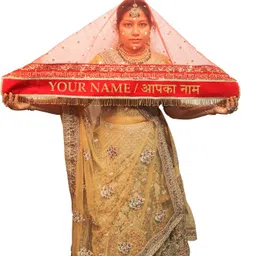 Net Self Design Red Women Dupatta-image-68