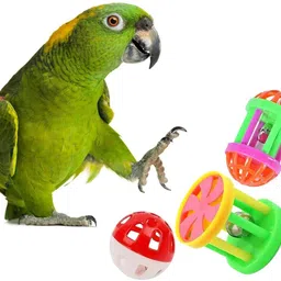 dcm pet mart 3 Pcs Different Shape Balls Plastic Ringing Roller Toys Plastic Chew Toy For Bird-picture-25
