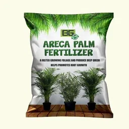 Areca Palm Plant Food | Healthy Growth for Indoor Palms Fertilizer-image-7