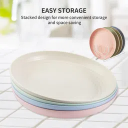 sugaalsu Unbreakable Wheat Straw Plates, Lightweight Plates, Dishwasher Safe Plates_New Dinner Plate image 4