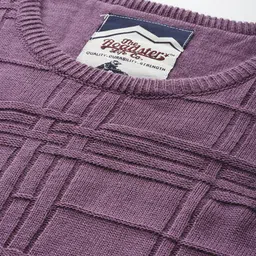 roadster Men Checkered Round Neck Purple Sweater image 3