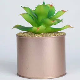 casacraft from pepperfry Light Green Polyester Elegant Artificial Cactus Succulent With Metal Pot image 2