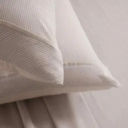 maspar Beige Solid 300 TC Cotton King Size Bed Sheet with 2 Pillow Covers 24 Collection image 4