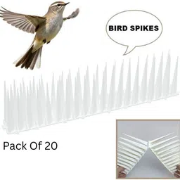 plastkart Bird Spike-picture-22