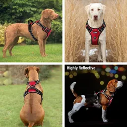 alcazar Dog Chest Belt No Pull Harness (Recommended for 05-13KG Dogs) Dog Harness & Leash image 4