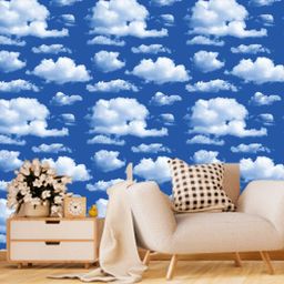 WallDaddy Blue Sky Cloud Designed Self Adhesive Wallpaper-picture-34