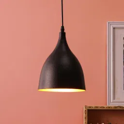 decorativeray Vernon Black Metal Hanging Light-picture-11