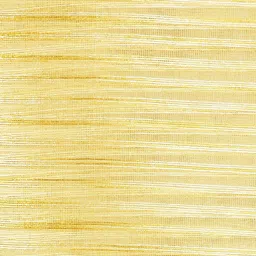 RANGMANCH BY PANTALOONS Gold-Toned Striped Dupatta image 3